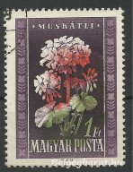 1950. Virág